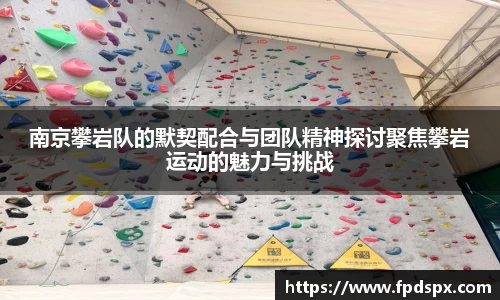 南京攀岩队的默契配合与团队精神探讨聚焦攀岩运动的魅力与挑战